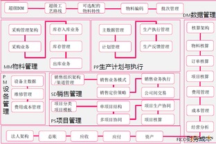 信息化引擎驅(qū)動管理變革 上海鼎虎集團(tuán)的標(biāo)準(zhǔn)化實(shí)踐與啟示